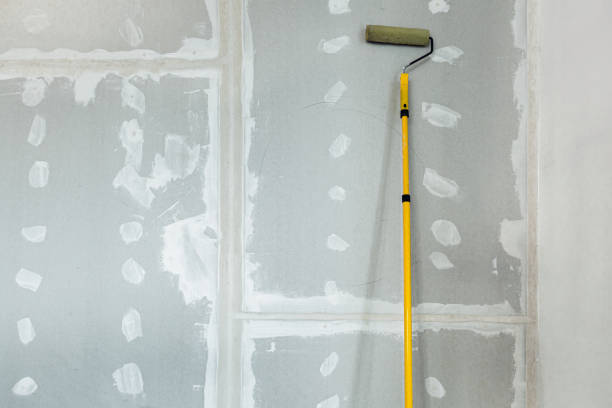 Best Drywall Sanding and Smoothing  in Salem, SD