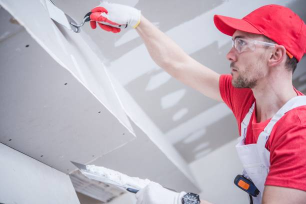 Best Ceiling Drywall Installation  in Salem, SD